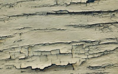 Tears – or, What are your Brutal Facts? Where lies your Deepest Faith? (Part 4 of 5)