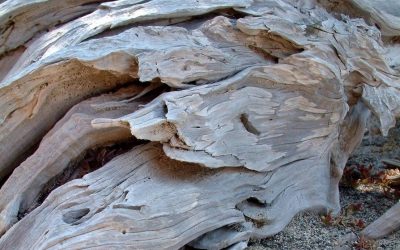 Withstanding – or, We All Have a Frontline (Part 3 of 5)