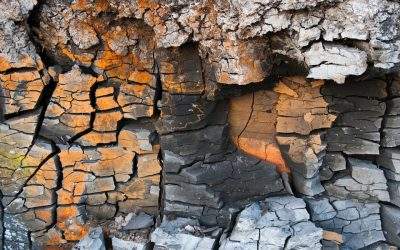 Serious Business – or, It Works, even when you Don’t Believe In It (Part 5 of 5)