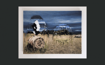 Reflections on a cowhide – an exhibition by Franli Meintjes